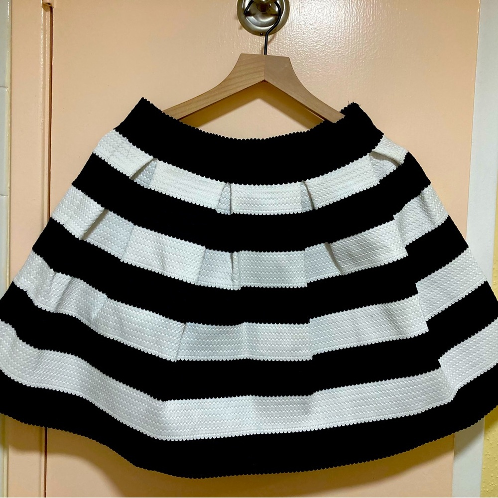 Express Thick Pleated Skirt